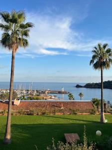 two palm trees in a park with a view of the ocean at Appartement avec vue mer et piscine in Théoule-sur-Mer
