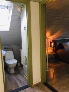 baño con aseo y 1 cama en una habitación en Csendes Vendégház, Families, Hikers & Bikers, en Cserszegtomaj