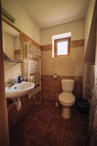 クボヴァ・フチにあるChata Boubínのバスルーム(トイレ、洗面台付)