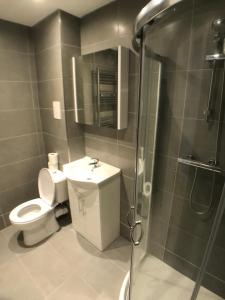 La salle de bains est pourvue de toilettes, d'une douche et d'un lavabo. dans l'établissement City Sparrow Pad 6, à Londres