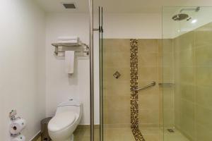 a bathroom with a toilet and a glass shower at Hotel Mocawa Plaza Armenia in Armenia