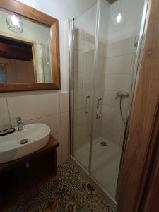 a bathroom with a shower and a sink at Domek całoroczny na Kaszubach in Lipusz