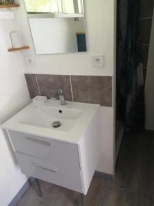 a bathroom with a white sink and a mirror at Petite maison et son jardinet en Village. in Puisserguier