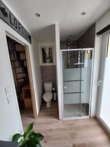 a bathroom with a toilet and a glass door at Le secret de la Glycine in Lillebonne +11 photos