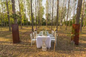 a table set up for a wedding in the woods at Drina River Glamping in Loznica