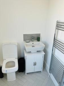 a bathroom with a toilet and a sink at Castle view Rochester in Rochester