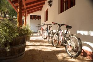 Palmilla的住宿－Hotel Viña Kankura，停在大楼旁边的一排自行车