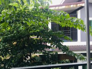 Fotografie z fotogalerie ubytování Alif apartment 2 v destinaci Phra Ae beach