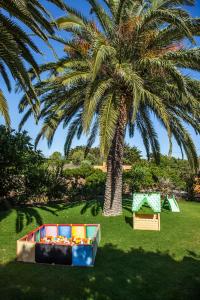 a palm tree with play equipment in a park at Montinho De Ouro in Luz