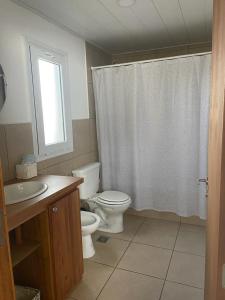 a bathroom with a toilet and a sink and a shower at Casa en trevelin in Trevelin