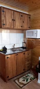 eine Küche mit einer Spüle und einer Mikrowelle in der Unterkunft Cabana Campinho II in Mundo Novo