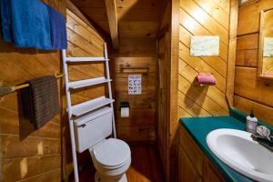 a bathroom with a toilet and a sink at Gatlinburg Area Hottub Cabin - Ladyslipper in Sevierville