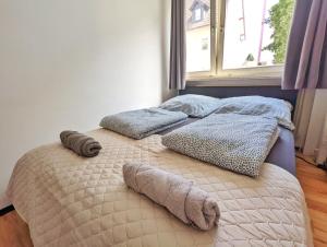 1 dormitorio con 2 camas con almohadas y ventana en Vacation Apartment In The Black Forest, en Villingen-Schwenningen