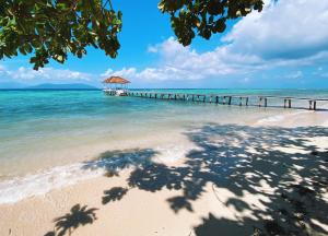 Ampana的住宿－Reconnect - Private Island Resort & Dive Center Togean - Buka Buka Island，水中带码头的海滩