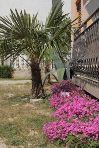 Zahrada ubytování Apartments with parking spaces Tribunj, Vodice - 6223