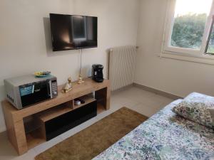 a living room with a television and a bed at 36 Dajot Studio Apartment - 25 in Melun