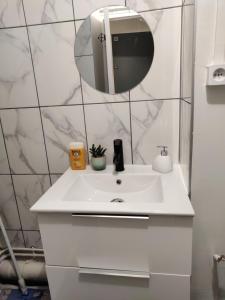 a bathroom with a white sink and a mirror at 36 Dajot Studio Apartment - 25 in Melun