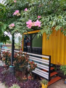 碧差汶的住宿－ภูร่องลม ฟาร์ม，公园长凳,树下有粉红色的花朵