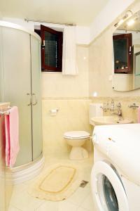 a bathroom with a shower and a toilet and a sink at Apartments by the sea Brgulje, Molat - 6241 in Brgulje