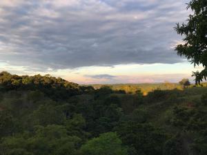 a view of a forest of trees at sunset at Finca en Doradal ( Hacienda Napoles y Rio Claro ) in Doradal