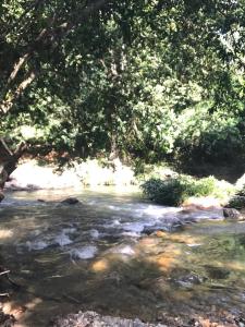 a stream of water with trees in the background at Finca en Doradal ( Hacienda Napoles y Rio Claro ) in Doradal