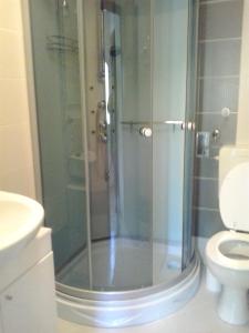 een badkamer met een douche en een toilet bij Apartments with a parking space Novi Vinodolski - 15292 in Novi Vinodolski