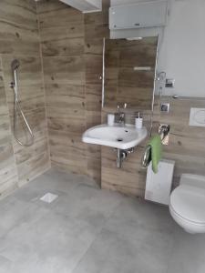 ein Bad mit einem Waschbecken und einem WC in der Unterkunft Mika's Haus in Luftkurort Lückendorf