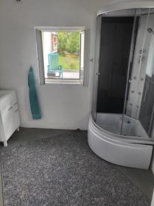 ein Bad mit einer Dusche mit einem Spiegel und einem Fenster in der Unterkunft Mika's Haus in Luftkurort Lückendorf