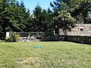 um frisbee deitado na relva num quintal em villa au calme à l'entrée d'Uzès em Serviers-et-Labaume
