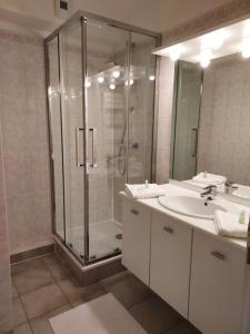 a bathroom with a shower and a sink at L'Escale Saint Georges - 5 min d'Auxerre in Saint-Georges-sur-Baulche