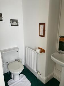 Phòng tắm tại The Penrhos Arms Hotel