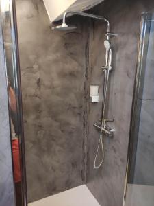 a shower with a glass door in a bathroom at LE CHALET DES THERMES in Nancy