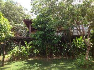 a tree house in the middle of a garden at Pipa Hills Casa Bromélia in Pipa