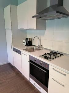 Kuchyňa alebo kuchynka v ubytovaní Luxury Calmness Apartment