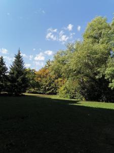 Príroda v okolí apartmánu