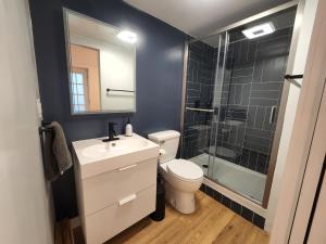 y baño con aseo, lavabo y ducha. en Private Studio Close to Downtown Rhinebeck, en Rhinebeck