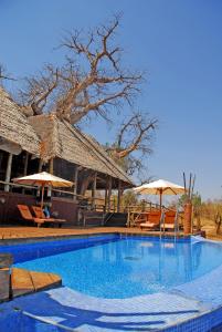 Бассейн в Tarangire Treetops или поблизости