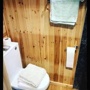 ein Bad mit einem WC und einer Holzwand in der Unterkunft luxury railway carriage with stunning views in Hereford