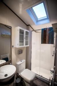 a bathroom with a toilet and a shower and a sink at Holly in Paignton