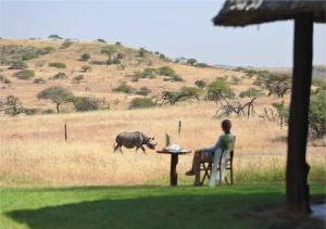 Dyr i lodgen eller i nærheden + 2 billeder