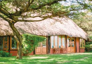 En have udenfor Kifaru House