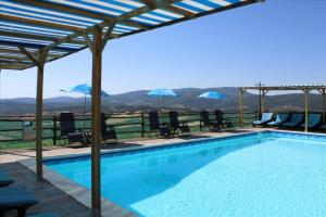 einen Pool mit Stühlen und Sonnenschirmen auf einem Berg in der Unterkunft Tuscan Farmhouse with 7 Apartments for max 30 persons in Montecastelli