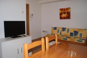 TV a/nebo společenská místnost v ubytování Apartamentos Borruscall