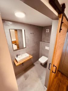 a bathroom with a sink and a toilet at PJagodic Hotel Cerklje - 5min to Airport in Cerklje na Gorenjskem