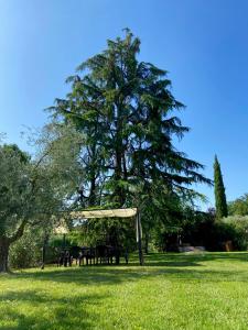 Zahrada ubytování B&B Controvento Soiano