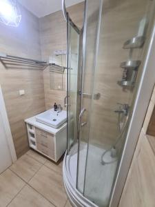 a bathroom with a shower and a sink at Cosmopolis Studio 1 in Ştefăneştii de Jos