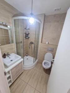a bathroom with a sink and a toilet and a shower at Cosmopolis Studio 1 in Ştefăneştii de Jos