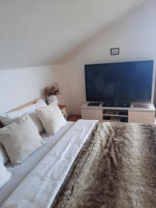 a bedroom with a large bed and a flat screen tv at Apartmán Mikulov in Mikulov