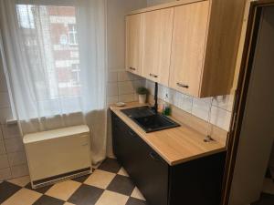 a small kitchen with a sink and a counter at Apartment Chorzow Center in Chorzów +85 photos