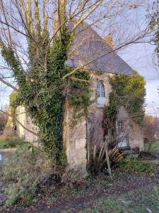 La Chapelle في Chanceaux-sur-Choisille: منزل مغطى ivy مع شجرة أمامه